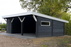 Gepotdekselde carport met schuurtje (1/3)