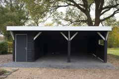 Gepotdekselde carport met schuurtje (3/3)